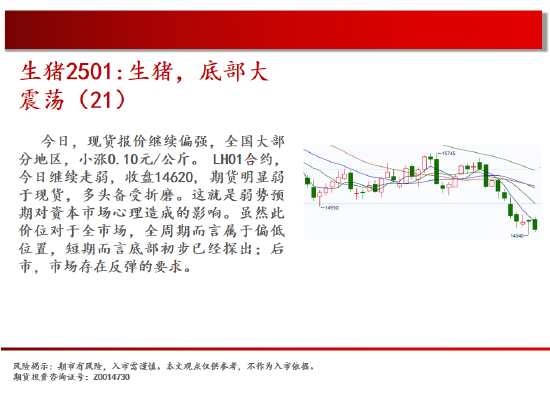 中天期货:螺纹震荡持续 棕榈再度探顶-第8张图片