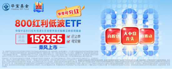 3400点，拿下！海外突传重磅，CXO狂飙，医疗ETF（512170）冲击4%！能守亦能攻，800红利低波ETF放量涨1.67%-第10张图片