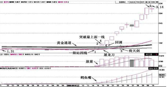 一位成功的投资人：巴菲特股票估值如此成功，我们普通散户能否效仿？原来钱是要这样赚来的-第2张图片