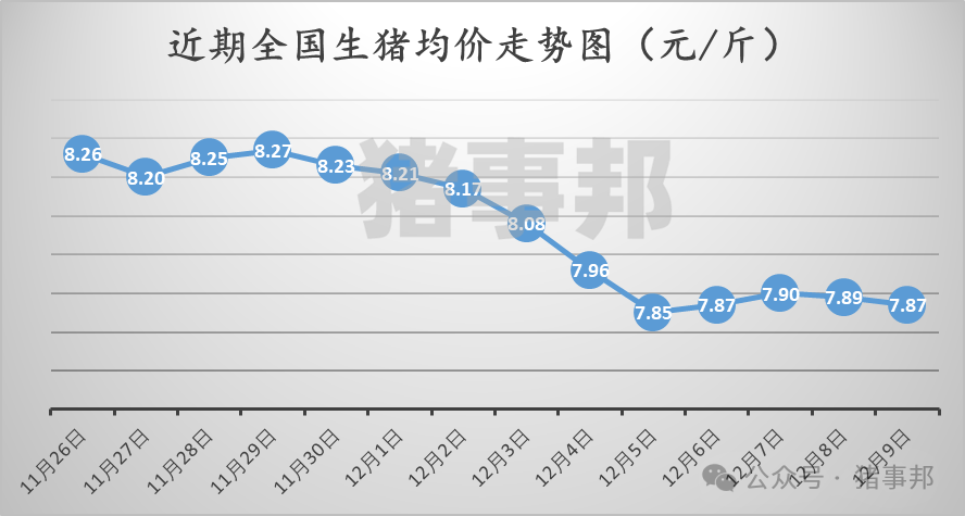 12月9日猪价汇总（北弱南强！）-第3张图片