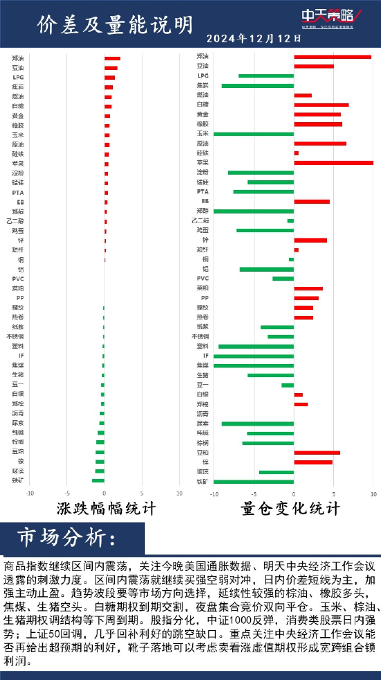 中天策略:12月12日市场分析-第2张图片