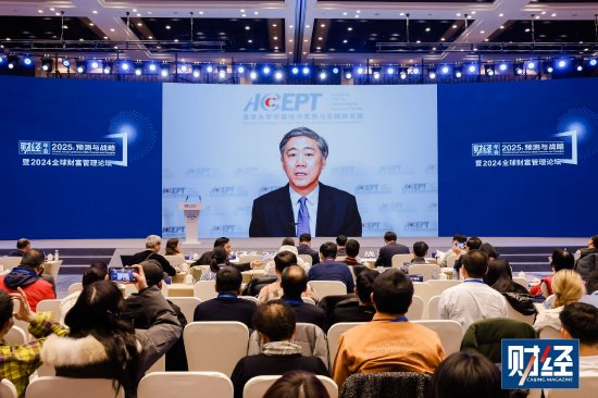李稻葵：2025年是一个非常期待的经济和金融发展之年-第1张图片