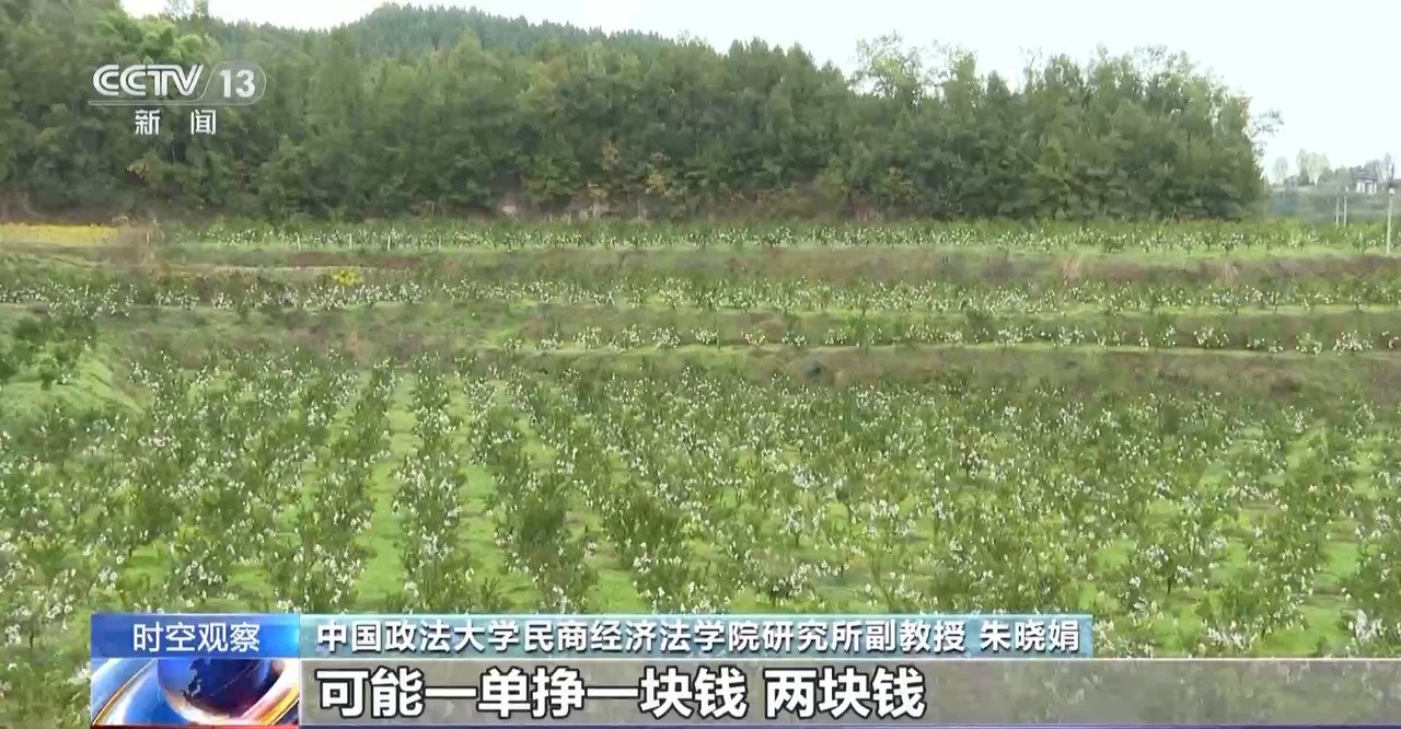 “仅退款”成电商平台标配 滥用服务“薅羊毛”可能构成犯罪-第11张图片