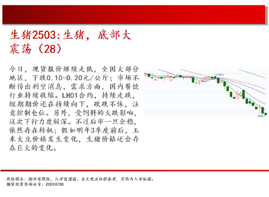 中天期货:玻璃震荡反复 棕榈再度探顶-第7张图片