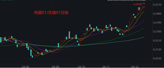 套利大年！生猪鸡蛋也有“大劈叉”-第18张图片
