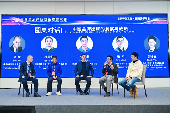 投影产业大咖谈“出海”：要解决差异化问题   重点是硬件和软件生态的适配性-第1张图片