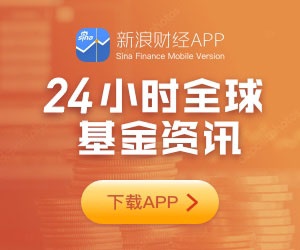 Canalys：2024年第三季度印度PC市场出货量达到630万台 同比增长12%-第6张图片