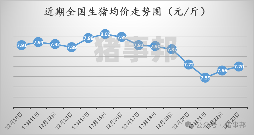 12月23日猪价汇总（稳中伴涨！）-第3张图片