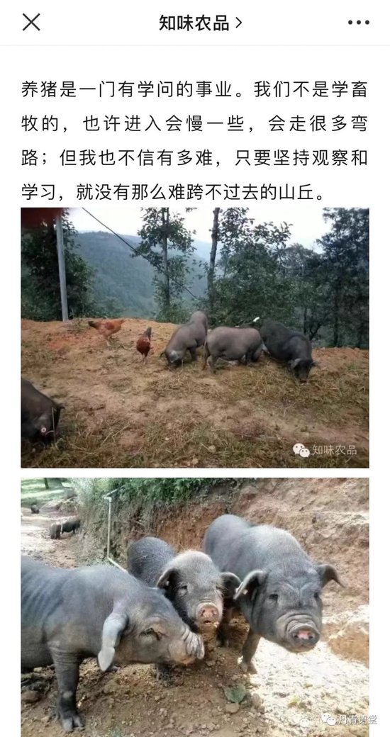 无一刻虚度|曾经联想·冯健渐-第10张图片