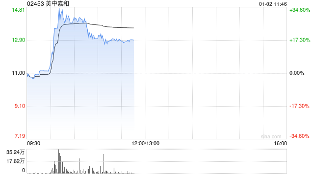 美中嘉和盘中涨超35% 公司签订2亿元融资租赁协议-第1张图片