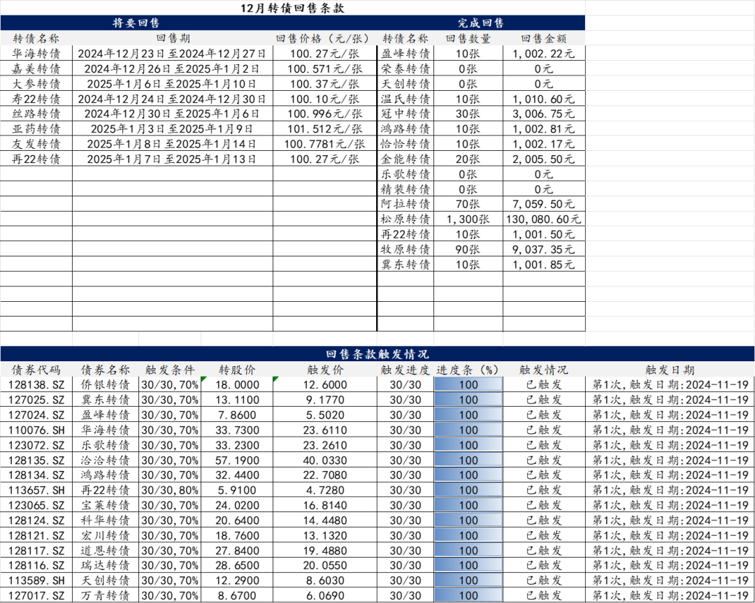 【华安固收】可转债月度数据库来袭，欢迎订阅！-第20张图片