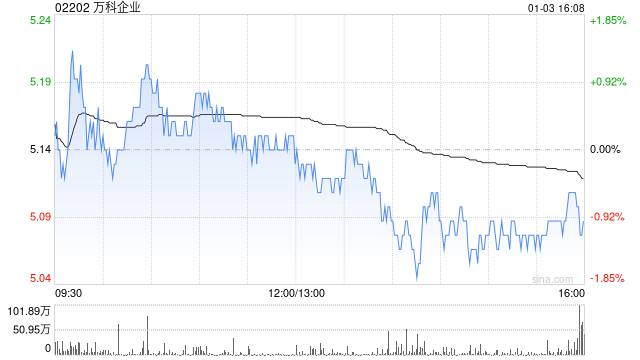万科企业2024年年度合同销售金额2460.2亿元-第1张图片