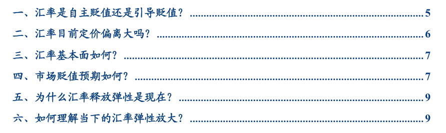张瑜：汇率弹性释放不是坏事，对于后续稳增长政策空间至关重要-第1张图片