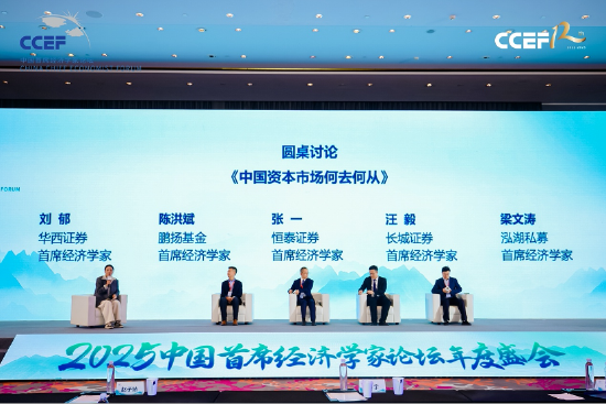 2025中国首席经济学家论坛年会在上海成功举行-第16张图片