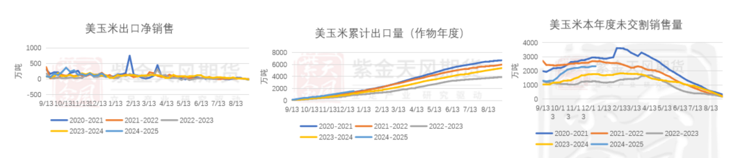 玉米：前高仍难突破-第3张图片