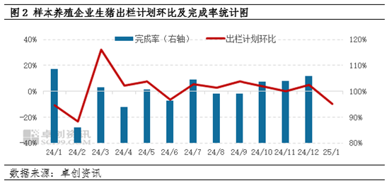 卓创资讯：1月样本企业生猪出栏计划环比减少 但日均出栏或环比增加-第4张图片