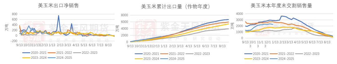 玉米：增储再次开启-第4张图片