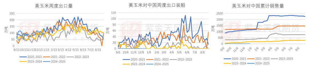玉米：增储再次开启-第5张图片