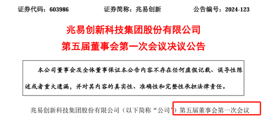 95年北大才女上任800亿市值公司董秘-第1张图片