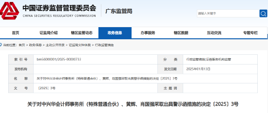 事涉鼎龙文化年报审计项目 中兴华会计师事务所及两名签字会计师被出具警示函！-第1张图片