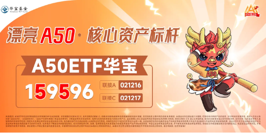 科大讯飞、北方华创领涨，“漂亮50”翘尾收红！高人气A50ETF华宝（159596）放量收涨，换手率断层领先同类-第4张图片