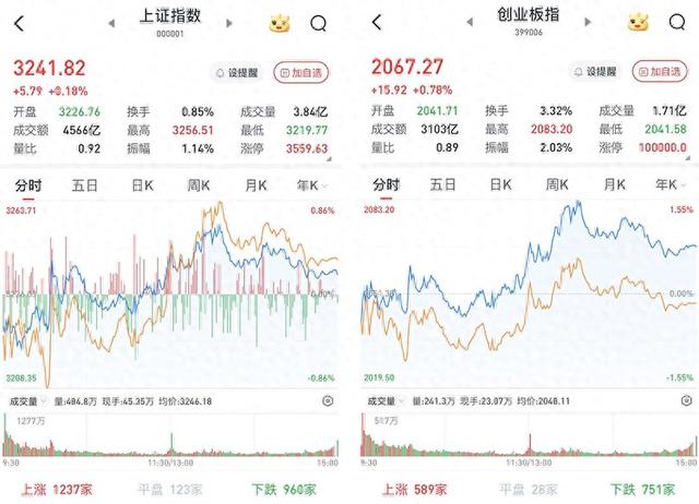A股低开高走震荡收涨：半导体全线走强，小红书概念大幅回调-第1张图片