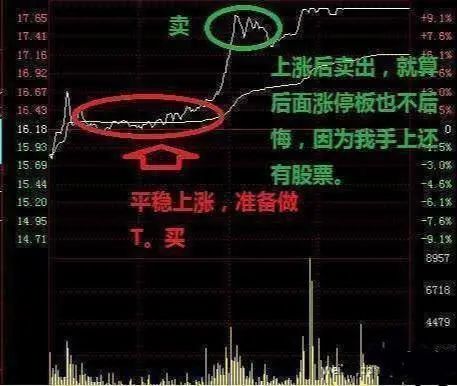 A股有哪些值得长期持有的股票？近阶段A股业绩最为优秀的20只白马龙头股，或将涨成“千倍股”-第9张图片