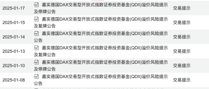 疯狂炒作轮到德国ETF？单日换手率超20倍，1月大涨36%-第2张图片