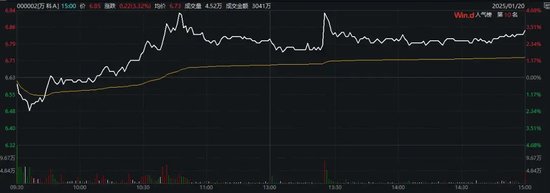 万科最新公告：将支付利息！今天，多只债券涨超20%触发临停-第2张图片