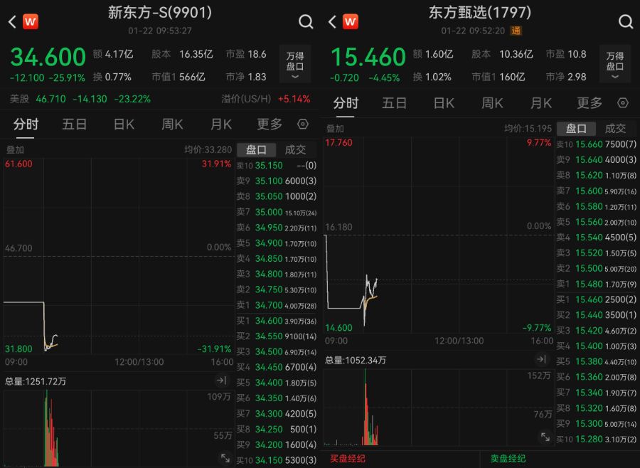 新东方、东方甄选，双双大跌-第2张图片