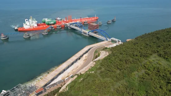 美国WTI原油周二收高0.8%-第2张图片
