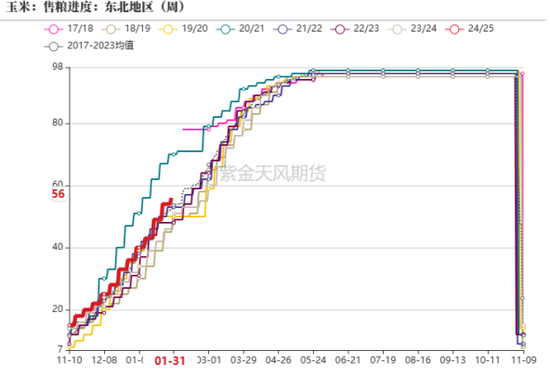 政策暖风吹，玉米开门红-第6张图片
