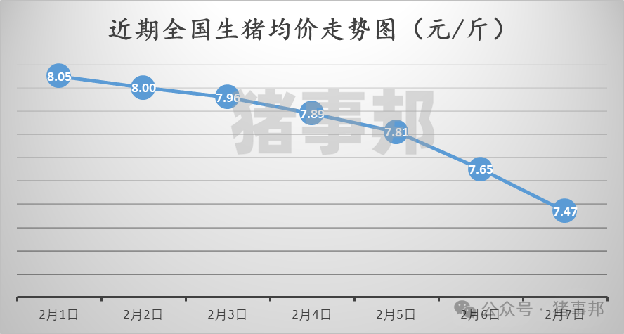 2月7日猪价汇总（跌势扩大，创近9个月新低！）-第3张图片