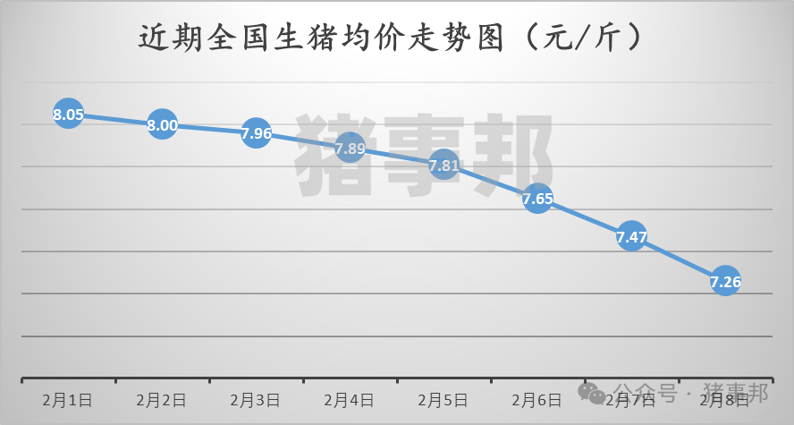 2月8日猪价汇总（继续普跌，局地见“6”！）-第3张图片