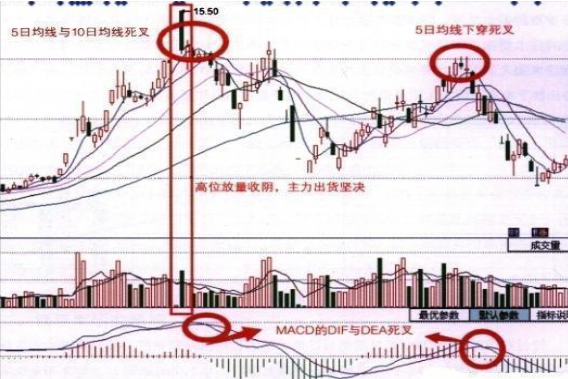 一位捂股工商银行的散户告诉你：选股如同选公司，近阶段市场白马股一览表，一生投资一次足矣-第10张图片
