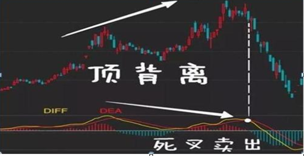 一位捂股工商银行的散户告诉你：选股如同选公司，近阶段市场白马股一览表，一生投资一次足矣-第16张图片