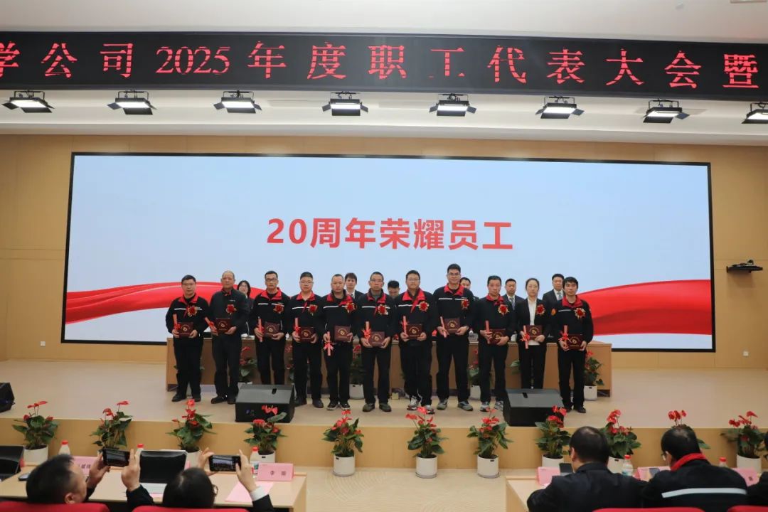 华峰化学公司召开2025年度职工代表大会暨工作会议-第17张图片