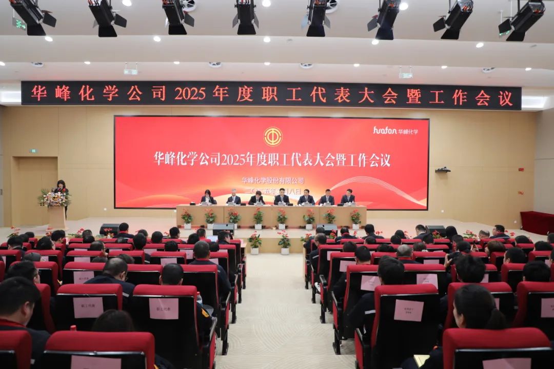 华峰化学公司召开2025年度职工代表大会暨工作会议-第20张图片