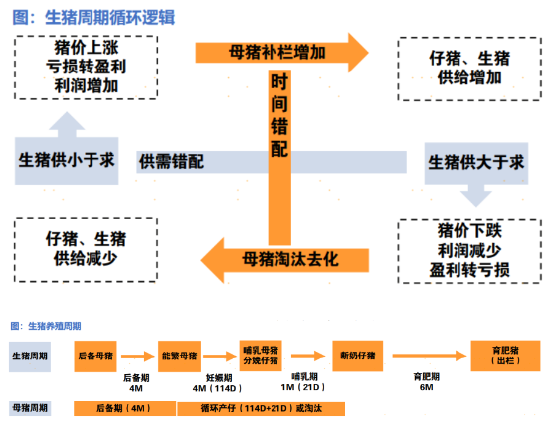 一文读懂2025年消费细分行业分析：是“宝藏”还是“风险”？-第8张图片