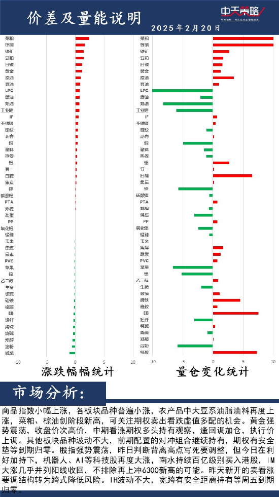 中天策略:2月20日市场分析-第2张图片