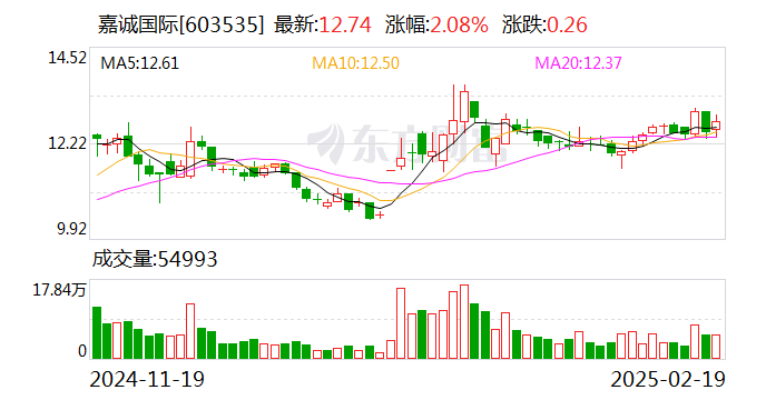 嘉诚国际：2024年净利润同比增长24.53%-第1张图片