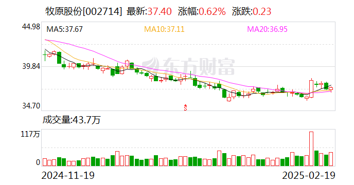 遭相关部门调查？牧原股份：未收到农业农村部等部门发出的调查通知-第1张图片