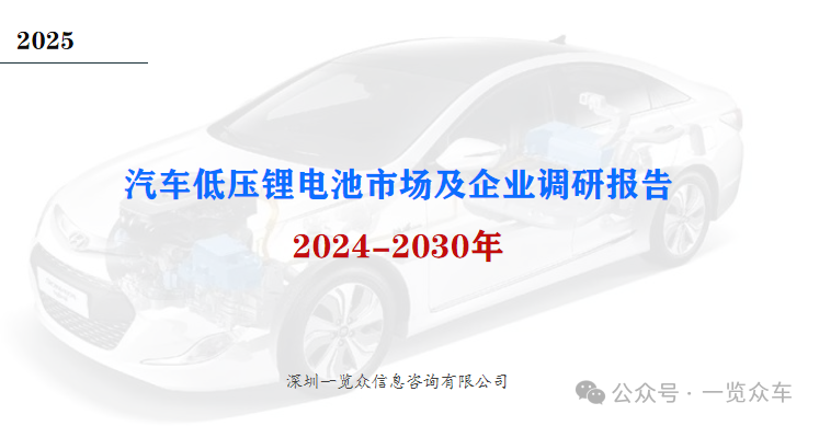 2024-2030年汽车低压锂电池市场及企业调研报告-第1张图片