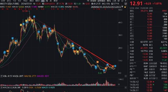 东方雨虹清仓分红报表疑点重重？投资收益激增至百亿 实控人有无掏空之嫌-第12张图片