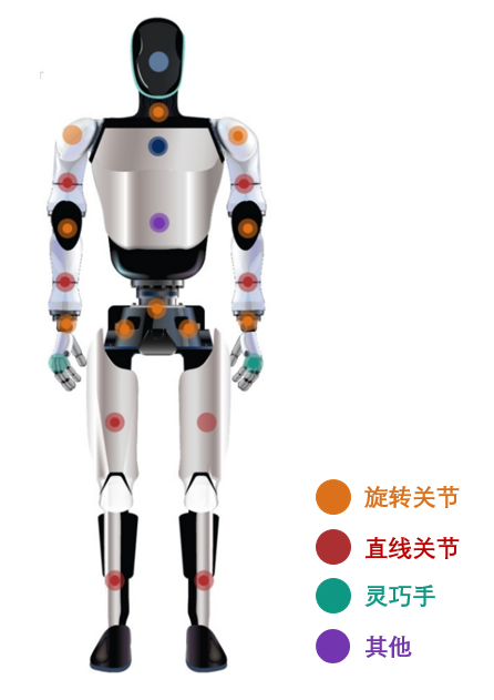 高盛：人形机器人行业或在2025年从研发阶段步入量产阶段-第2张图片