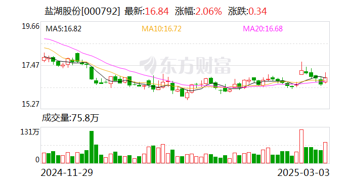 盐湖股份：3月19日将召开2025年第一次临时股东大会-第1张图片